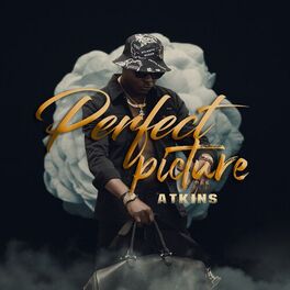 Album cover of Perfect picture