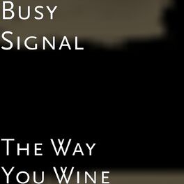 Album cover of The Way You Wine