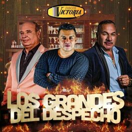 Album cover of Los Grandes del Despecho