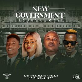 Album cover of New Government