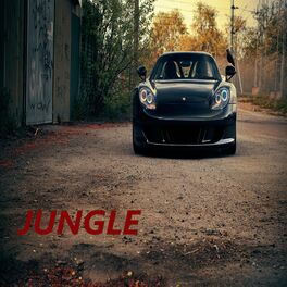 Album cover of Jungle (feat. Furkan Soysal) [Radio Edit]