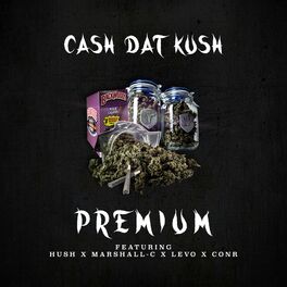 Album cover of Premium (feat. Hush, Marshall-C, Levo & Conr)