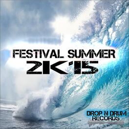 Album cover of Festival Summer 2K15