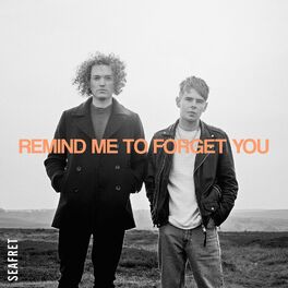 Album cover of Remind Me to Forget You