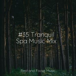 Album cover of #35 Tranquil Spa Music Mix