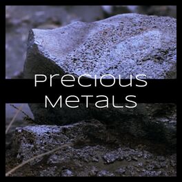 Album cover of Precious Metals