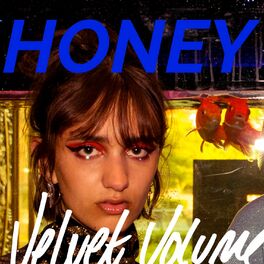 Album cover of Honey (Alternative Version)