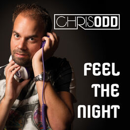 Album cover of Feel the Night