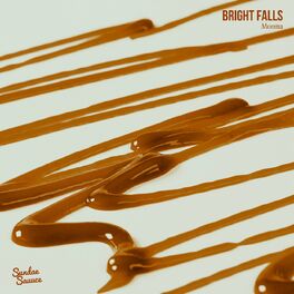 Album cover of Bright Falls