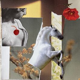 Album cover of Dói Demais