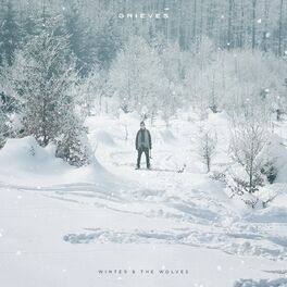Album cover of Winter & The Wolves (Instrumental Version)