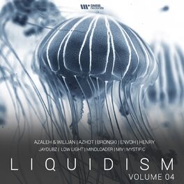 Album cover of Liquidism, Vol. 4