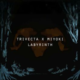 Album cover of Labyrinth (feat. Miyoki)