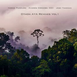 Album cover of Othon AYA Remixes, Vol. 1