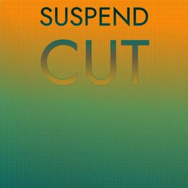Album cover of Suspend Cut