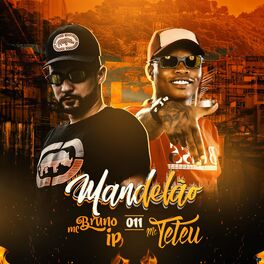 Album cover of Mandelão 011