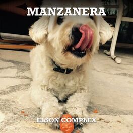 Album cover of Manzanera