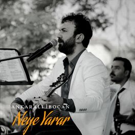 Album cover of Neye Yarar