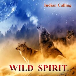 Album cover of Wild Spirit (Contemporary Native American Music)