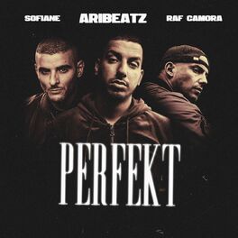 Album cover of Perfekt (feat. Sofiane)