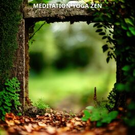 Album cover of Meditation Yoga Zen No. 3