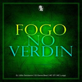 Album cover of Fogo no Verdin