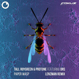 Album cover of Paper Wasp (Lenzman Remix)