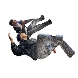 Album cover of Whip