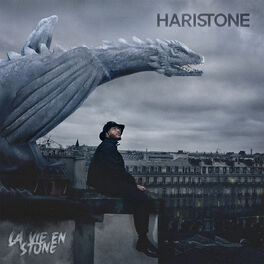 Album cover of La vie en stone