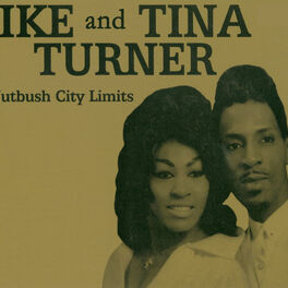 Album cover of Nutbush City Limits