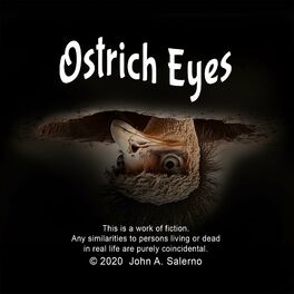 Album cover of Ostrich Eyes
