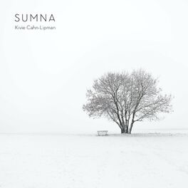 Album cover of Sumna