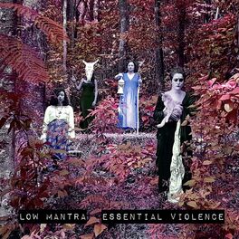 Album picture of Essential Violence