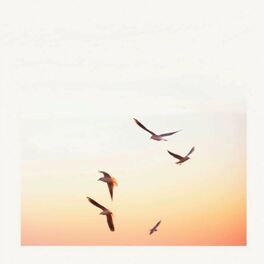 Album cover of Seagulls