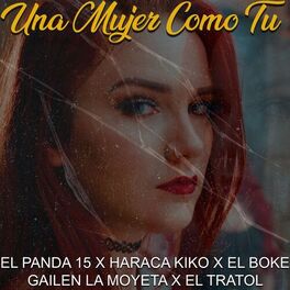 Album cover of UNA MUJER COMO TU