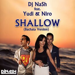 Album cover of Shallow (feat. Yudi & Niro)