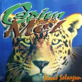 Album cover of Forró Selvagem