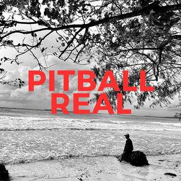 Album cover of Pitball Real