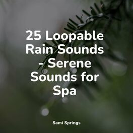 Album cover of 25 Natural Rain Sounds for Meditation and Sleep