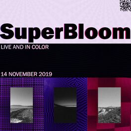 Album cover of Live and in Color