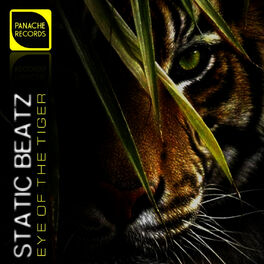 Album cover of Eye of the Tiger