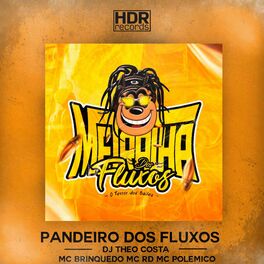 Album cover of Pandeiro Dos Fluxos