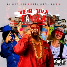 Album cover of Vem pra Favela