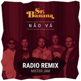 Album cover of Não Vá (Radio Remix)