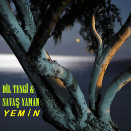Album cover of Yemin