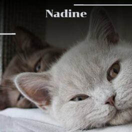 Album cover of Nadine