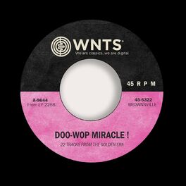 Album cover of DooWop Miracle !