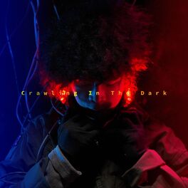 Album cover of Crawling In The Dark