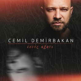 Album cover of Ceviz Ağacı