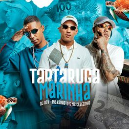 Album cover of Tartaruga Marinha